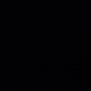 Meet your Posher, Jazmyn